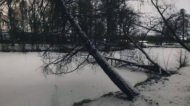 VID 20221204 213246 Телеграфист 1908 (А. Белый)...Павел Васильев Лахтинский смотреть онлайн