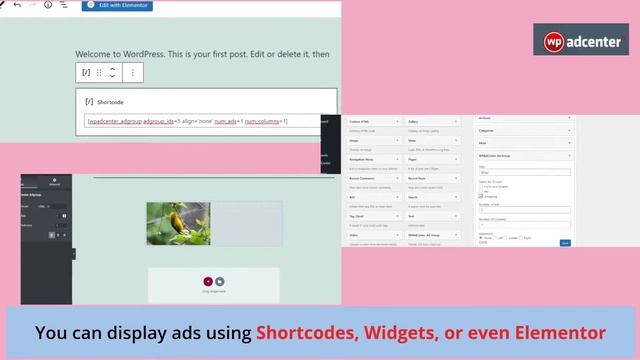 Getting started with WP AdCenter | WordPress Ads plugin смотреть онлайн