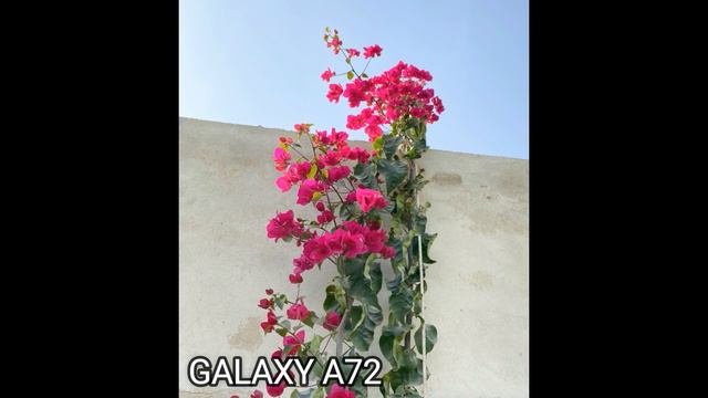Samsung Galaxy A72 vs Samsung Galaxy S20 FE | Camera Test смотреть онлайн