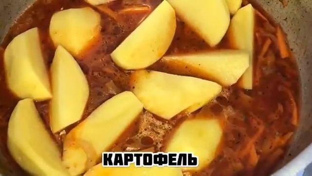 Зоопарк и Дикие Животные