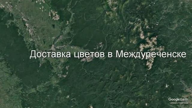 Доставка цветов в Междуреченске - Заказ букетов от компании Скорая подарочная помощь смотреть онлайн