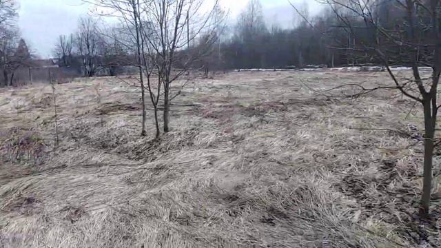 VID 067 Снег растаял, теперь можно с рассвета до заката на земле трудится. смотреть онлайн