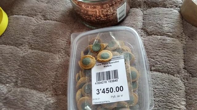 ГАММАРУС И ДАФНИЯ - ЭТО НЕ Г.... НО| сухой корм для рыбок смотреть онлайн