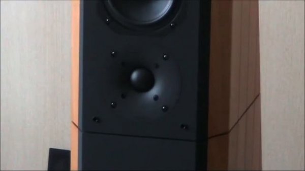 Hi-Fi & High End Show 2013: Акустика Chario