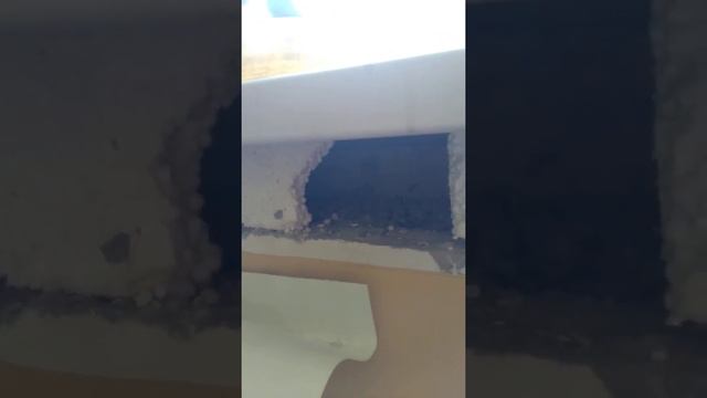 Плесень на оконных откосах.