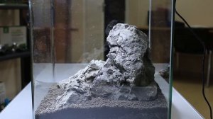 Запуск аквариума кубика 60л