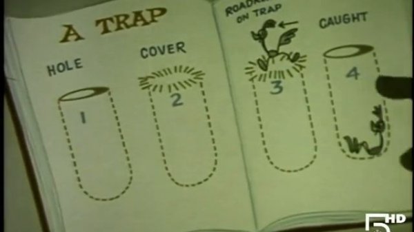 The Road Runner Show Segments