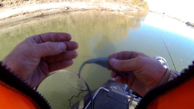 ЭТА ПРИМАНКА СДЕЛАЛА ВСЮ РЫБАЛКУ...Спиннинг. Щука, судак, октябрь, Обь смотреть онлайн