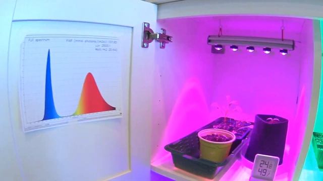 Led Освещение для растений.Факты! смотреть онлайн
