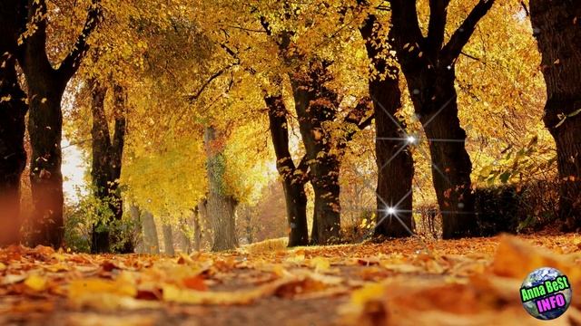 Гороскоп на 2024 год Овен. Гороскоп для Овнов на 2024 год. смотреть онлайн