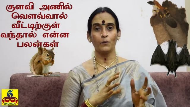 குளவி அணில் வௌவால் வீட்டில் வருவதன் பலன் | #Reason wasp Squirrels and bat comes into the house смотреть онлайн