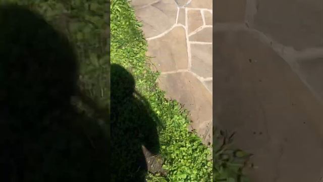 В этом видео вы увидели какая красивая дача у лп смотрите:))) смотреть онлайн