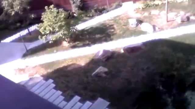 La vue de mon balcon смотреть онлайн