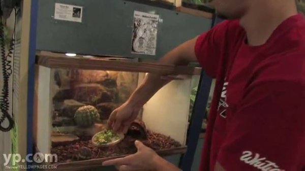 Whitie's Pets | Pet Store | Pet Supplies | Fresno CA