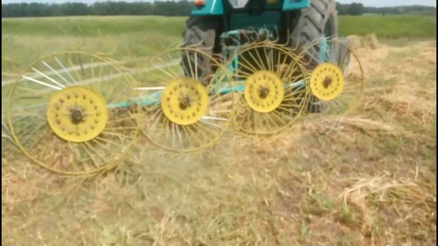 ЮМЗ 6 і гребки-сонечка на згрібанні. Сінокос 2020 смотреть онлайн