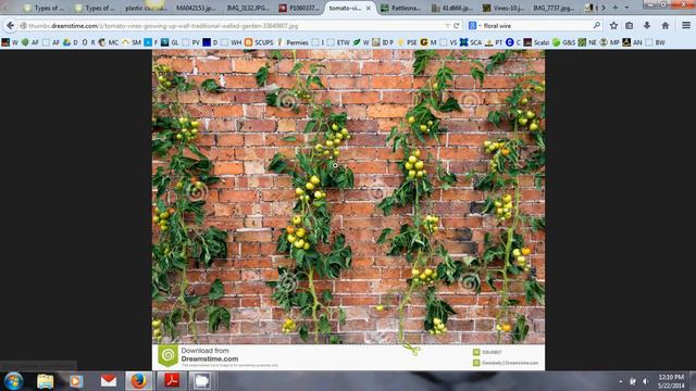 Gothic Gardening Week 3 Extra - How to Train a Vine смотреть онлайн