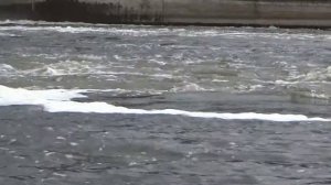 Рыбалка на Воронежском водосбросе на плотине