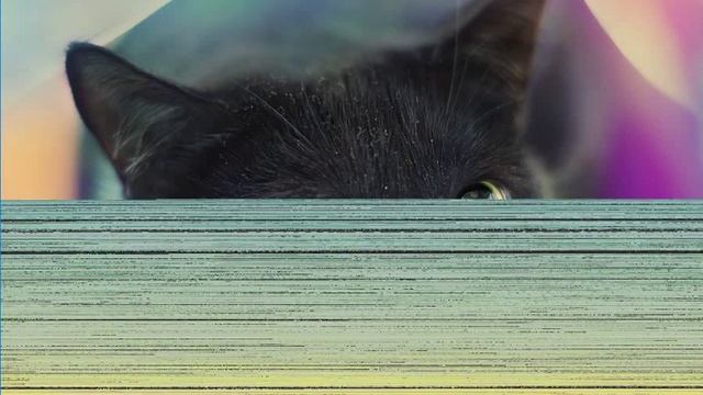 Pixel Counting Sorting visualization on a colorful cat img [900x853] смотреть онлайн