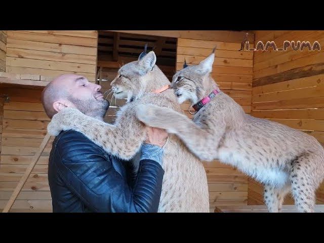 Месси в гостях у BobCat! Messi Was The Guest Of The BobCat!