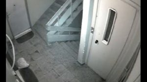 Видео Наблюдение