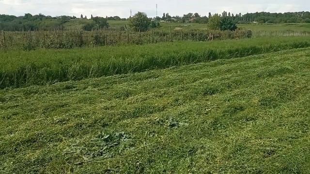 покос люцерны на сено мотоблоком смотреть онлайн