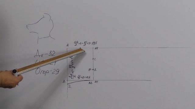 Одежда для собаки своими руками. Построение выкройки капюшона для собаки. смотреть онлайн