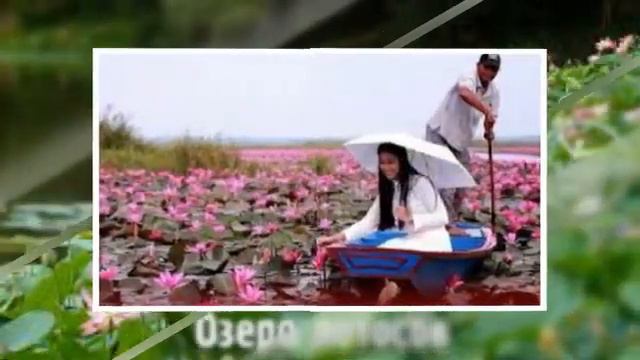 Озеро красивых лотосов !!!! смотреть онлайн