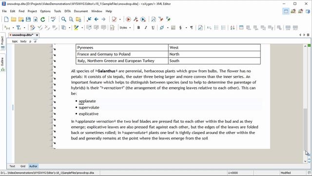 WYSIWYG XML Editing in Oxygen XML Editor 18 смотреть онлайн