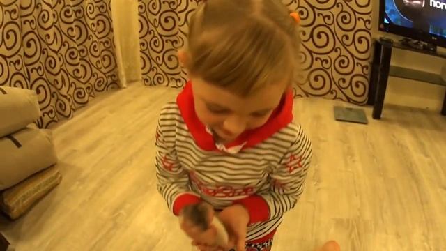 Крыса в доме Мало нам Серых в сараях смотреть онлайн