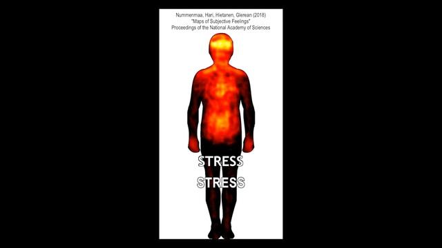 Meisterschaft über das Selbst | Grandmaster Wolf смотреть онлайн