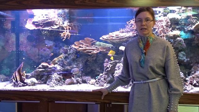 #Скидки 10% на аквариумы по индивидуальному проекту! смотреть онлайн