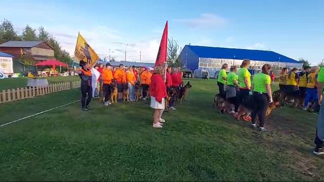 Питомники ч.1 / Моно немецких овчарок ранга ПК БРОННИЦЫ 10 августа 2024