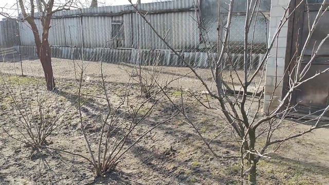 ОГЛЯДАЄМО ГОРОД, ПОКИ КУРИ ПАСУТЬСЯ! смотреть онлайн