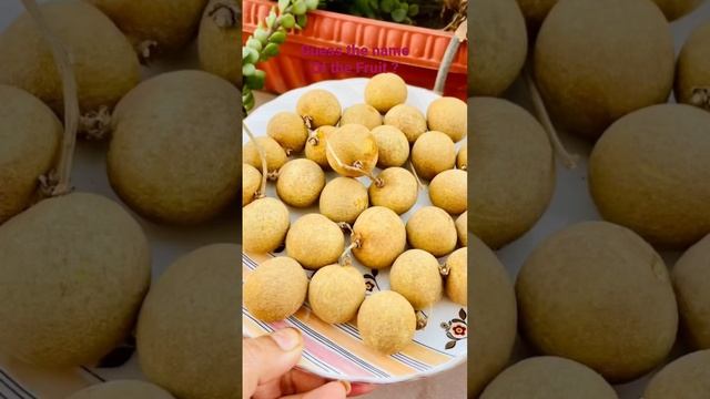 Tasted this fruit few days back This Fruit is called Dimocarpus Longan very much similiar to lychee смотреть онлайн