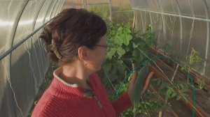 Видео привет с 6 соток 27 мая 2024 года.