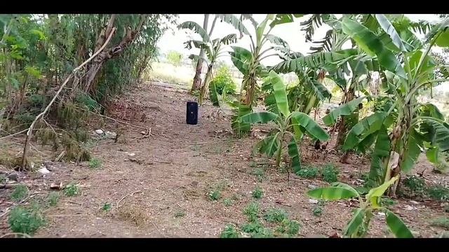 JBL Partybox 100 - Review indonesia / outdoor test bass test смотреть онлайн