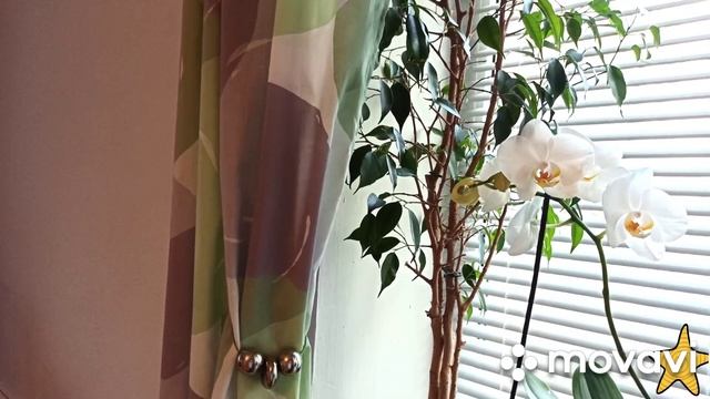 Покраска стен и потолков своими руками