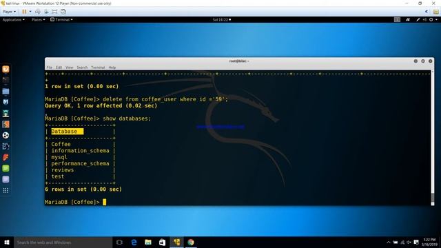 Web Server On Linux(2019) смотреть онлайн