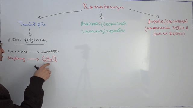 Таинственные знания и мудрость