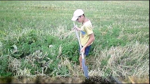 Коп по старым местам . смотреть онлайн