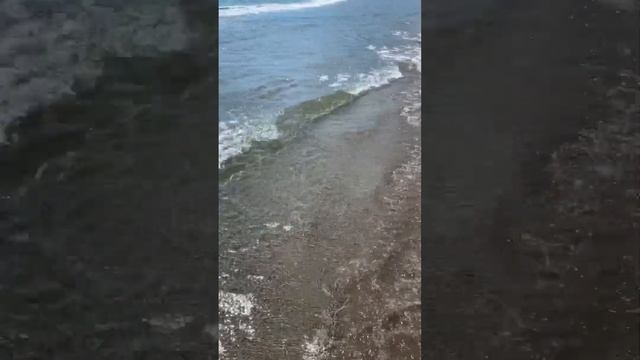 Пляжи Италии Алассио Лигурия Пляжный отдых на Море смотреть онлайн