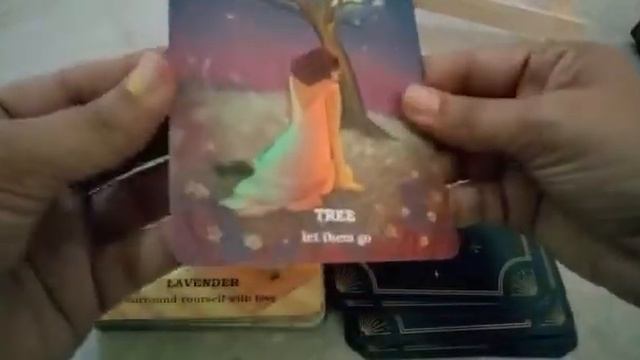 Believe in your own magic oracle card смотреть онлайн
