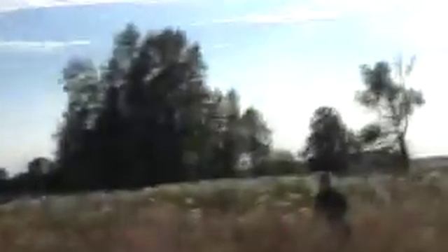 ДОРОГА К ЗАХОРОНЕНИЮ.wmv смотреть онлайн