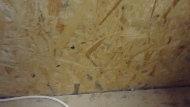 Заварной крем и рецепты тортов