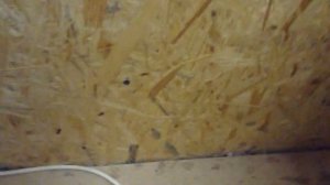 Кремовалка для Мёда своими  руками. (Проще простого )