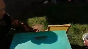 Как быстро наващивать рамки/самый быстрый способ наращивания вощины.