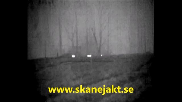 LB Pulsar Apex XD50 смотреть онлайн