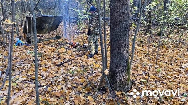 Небольшой поход в лес. Готовлю скумбрию на костре. смотреть онлайн