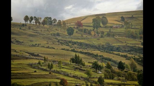 Там, где горы, полонины смотреть онлайн