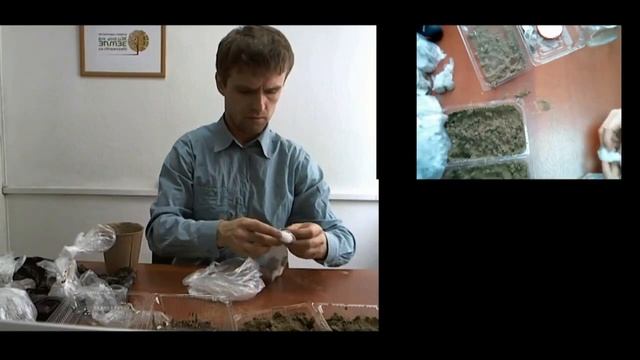 Железов Валерий Урок по стратификации семян ч 8 смотреть онлайн